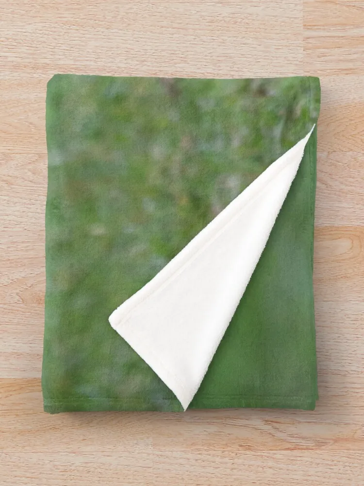 ���� �÷� ������ ���, �̵� ���, �ʴ��� ������ ���