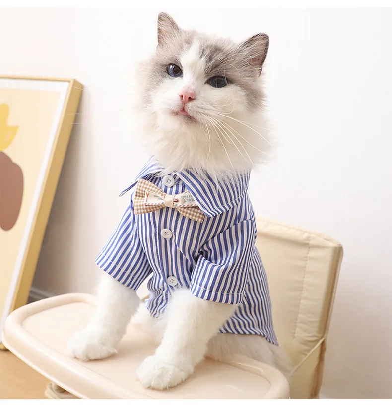 Description Picture 6 of itemPet Cat Clothes Summer Breathable Korean Style Striped Shirt Two Months German Curly Cat out Anti-Dirty Two Feet Apparel
