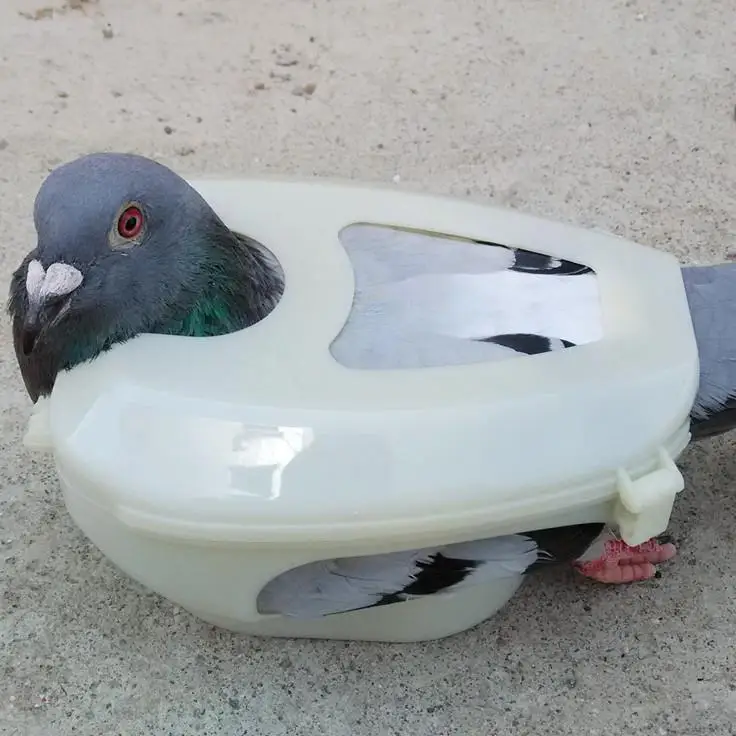 

Фиксатор для легкого кормления и инъекции одним человеком, инструменты для ухода за голубями, принадлежности для птиц, приборы для голубей