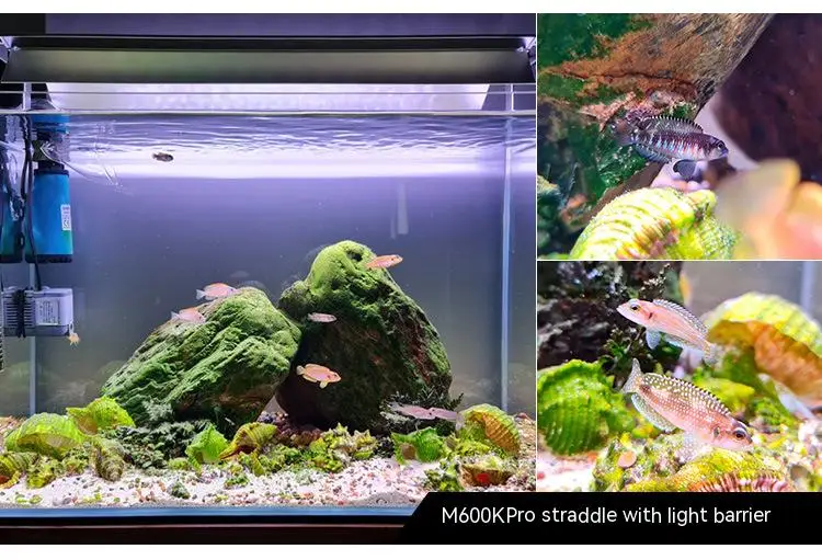 Adjustable Clip-on 5W-16w LED Aquarium Lighting Fresh Water LED Light for  Tanks Fish Plants Grow Light - Price history & Review, AliExpress Seller -  Amatslite Store