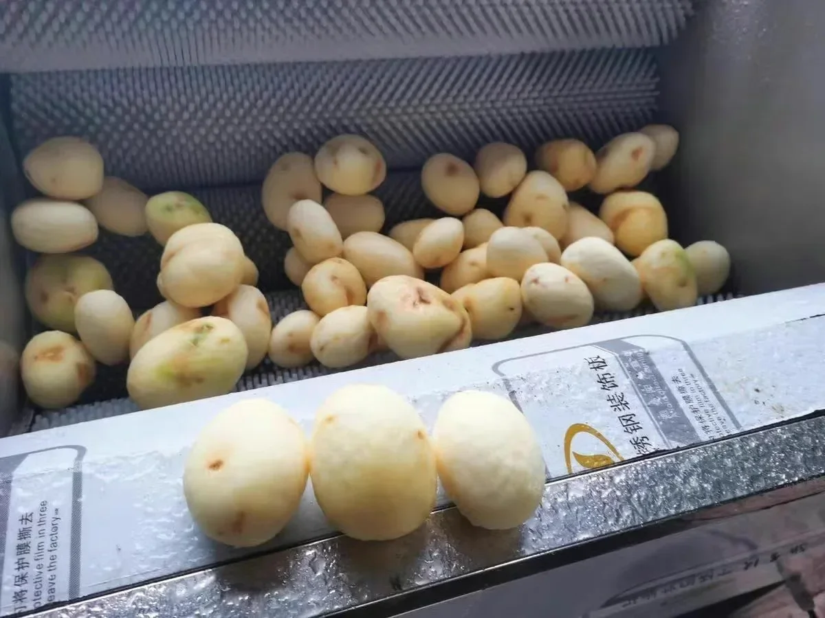 Potato Cleaning Machine Carrot Sweet Potato Taro Washer With Peeling Brush Cleaning For Fruit Food Vegetable 6