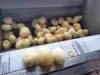 Potato Cleaning Machine Carrot Sweet Potato Taro Washer With Peeling Brush Cleaning For Fruit Food Vegetable 6