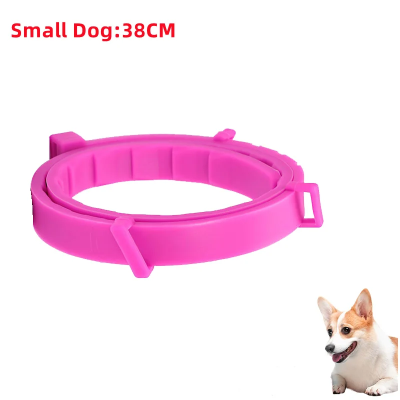 Small Dog-38cm Opp P