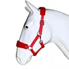 1Pc Soft Padded Pony Horse Halter Bridle Headstall Head Collar Horse Riding Accessories Ergonomic Comfortable Unfettered Halters 4