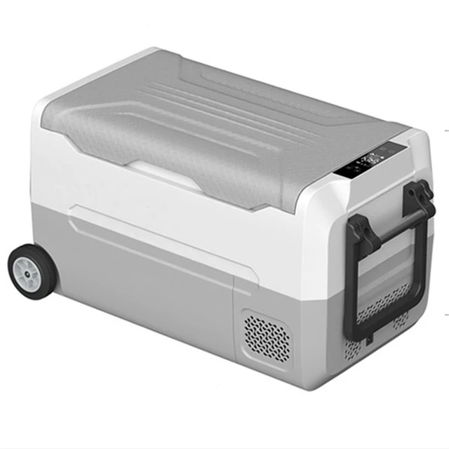 Mini nevera para el hogar y el coche, refrigerador de 24L, 12/24V,  110/220V, congelador, calentador, caja de almacenamiento de alimentos para  coche, hogar, Camping, Pinic - AliExpress