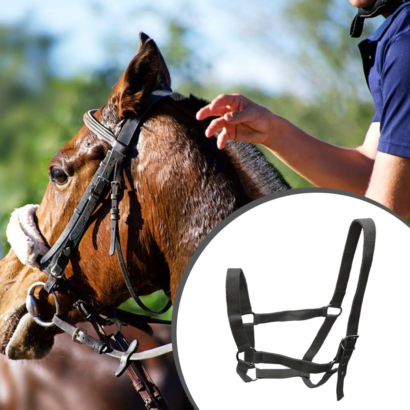 Horse Halter,Lightweight Portable Horse Rope Training Halter,Chin and Throat Snap Halter,Wear Resistant for Racecourse,Pasture