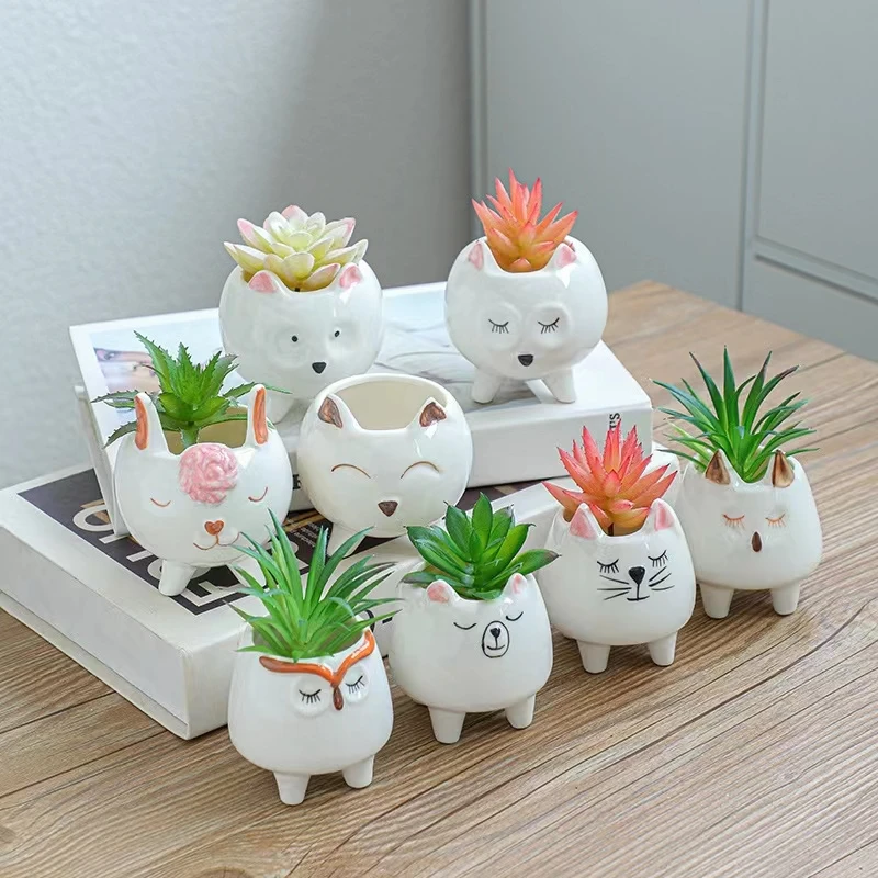 

Ceramic Small Meaty Flower Pot Thumb Flower Pot Simple and Cute Little Bear Cat Flower Pot Personalized Decorative Basin