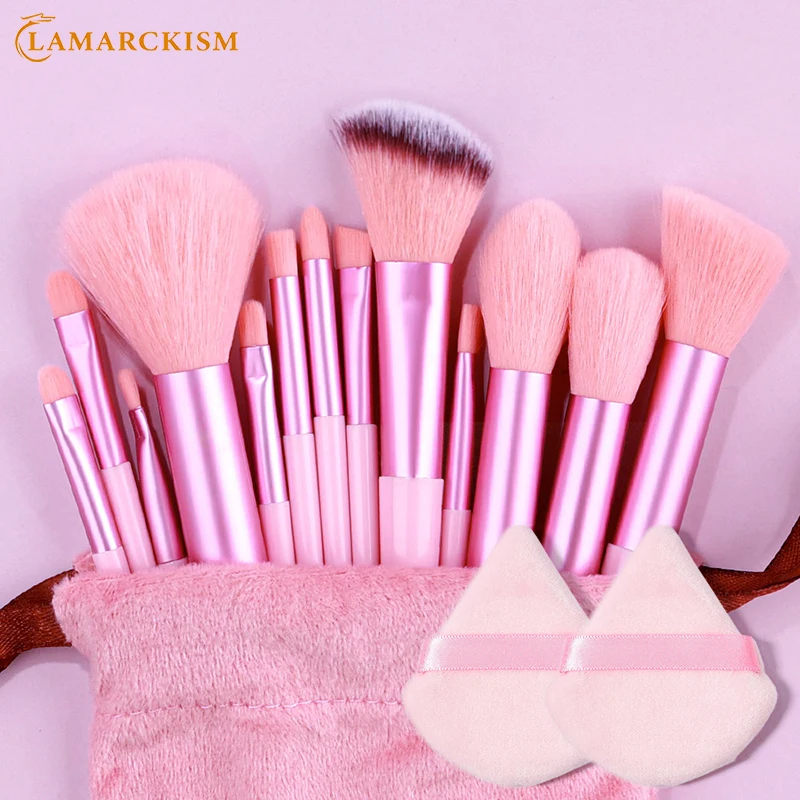 Set di 13 pennelli per il trucco, 2 spugnette per cipria, pennelli per fondotinta, fard e ombretto, strumenti di bellezza._voghion.com