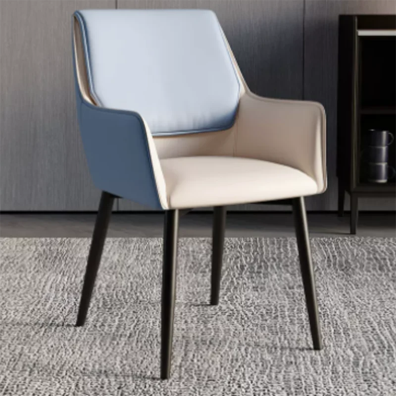 

Designer Dining Chairs Luxury Lounge Accent Floor Office Chair Modern Restaurant Chaises De Salon Garden Furniture Sets SQCYH
