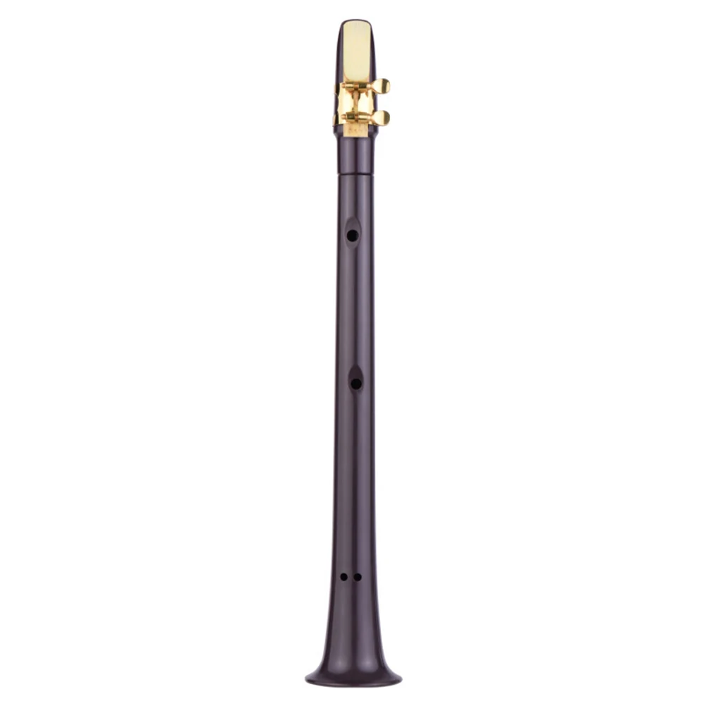 11-hole C Key Pocket Sax with Alto Mouthpiece Ligature Reeds Dental Pads Portable Saxophone with Carrying Bag Little Saxophone