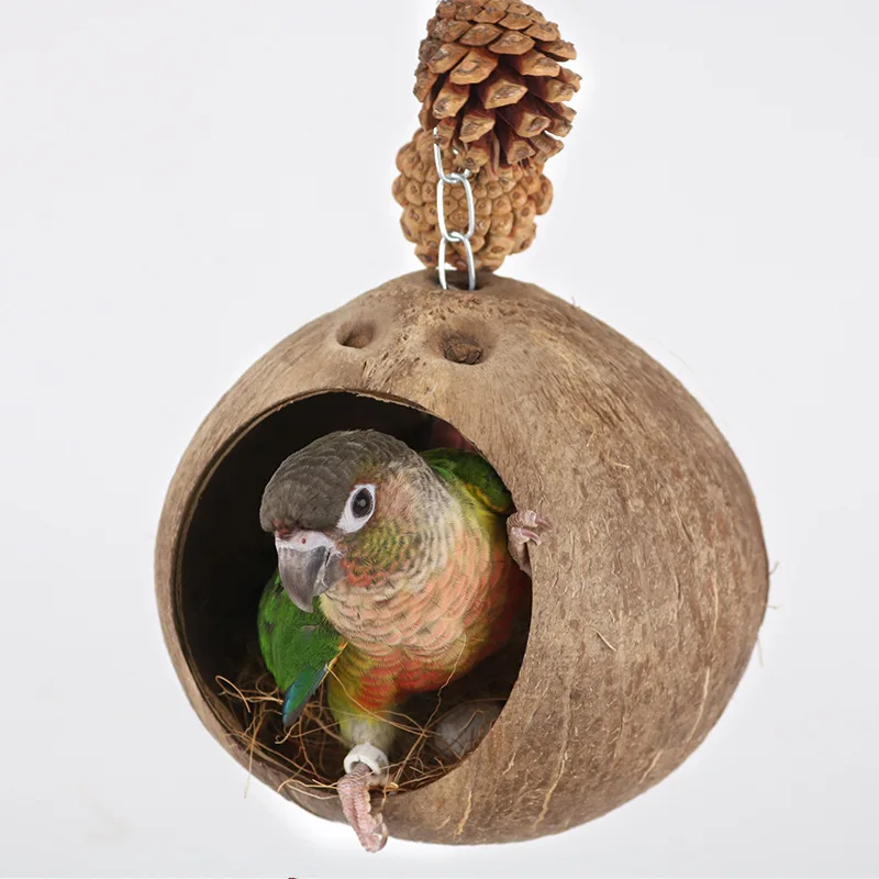 Coconut shell bird's nest swing bird's nest parrot's parrot bird toy swing hammock suspension ring suspension bridge