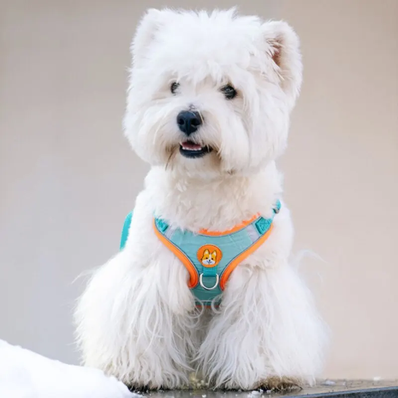 Reflective No-Pull Pet Harness Set 🔍 SEO Tags (in paragraph form): adjustable pet harness leash, no-pull dog walking vest, reflective dog harness for safety, cat chest strap harness, pet running leash set, dog harness with lead, secure pet walking gear, 2