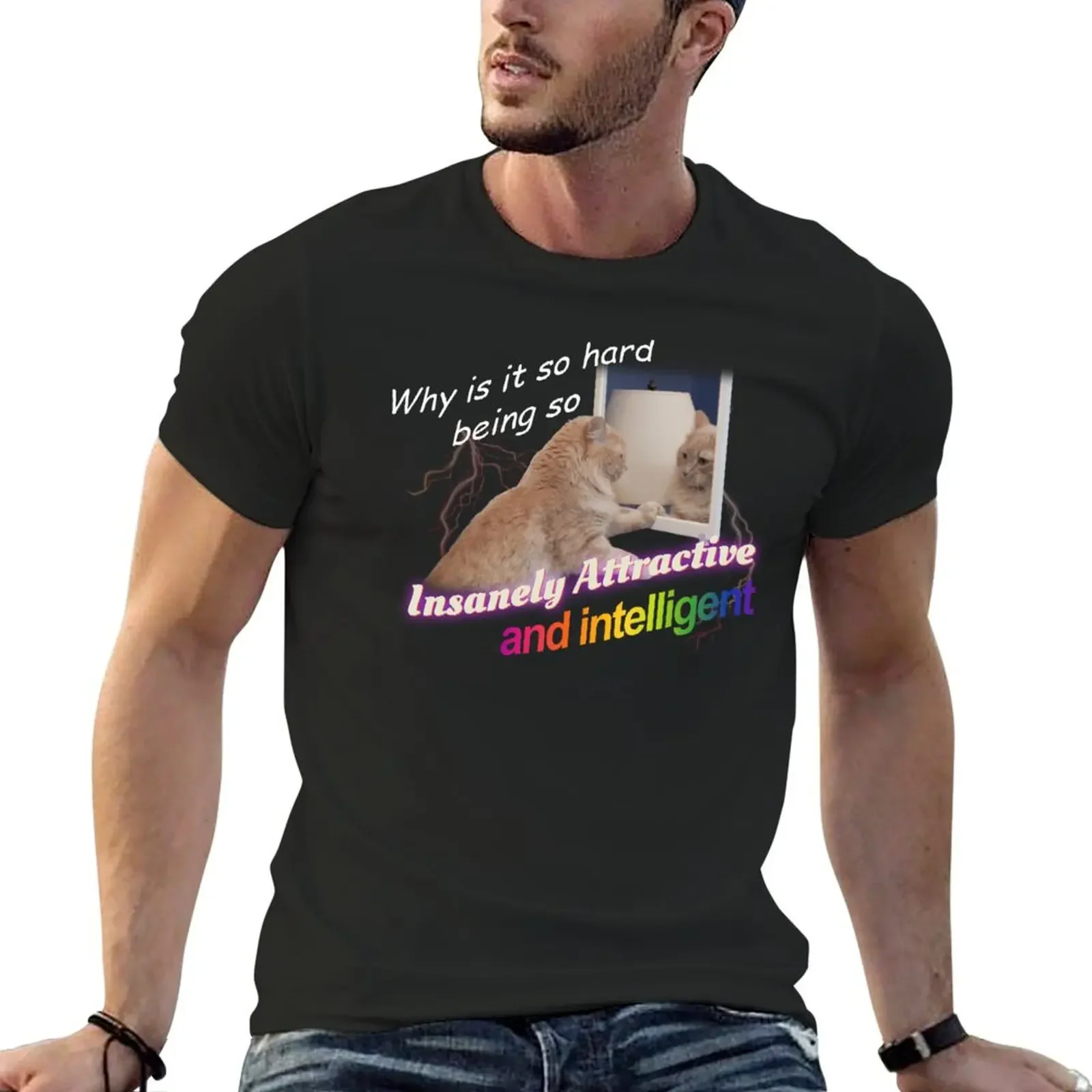 

Why Is It So Hard Being So Insanely Attractive And Intelligent Meme T-shirt new edition anime Men's t-shirts