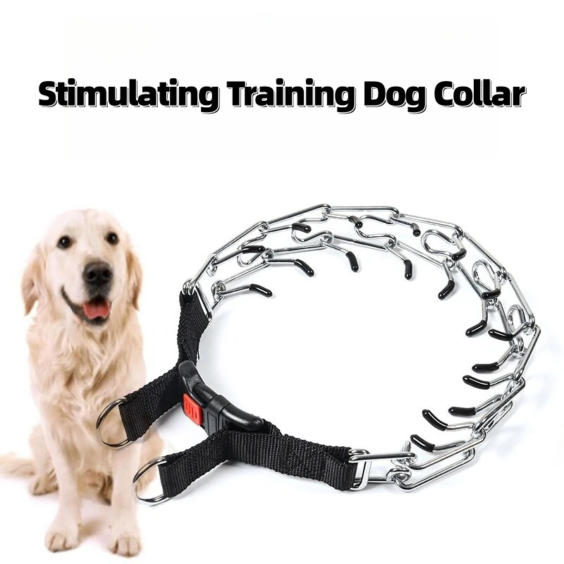 Pet Dog Training Collar Stimulating Training Detachable Stainless Steel Metal Collar with Rubber Tips and Quick Release Buckle