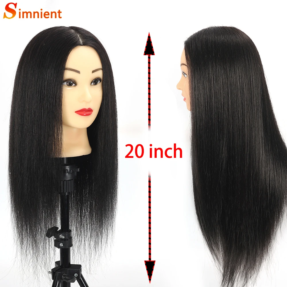 Mannequin Head with Human Hair Mannequin Head 14 inch 100% Real Hair  Training Head Doll Head for Hairdresser Practice Styling Cosmetology  Mannequin Head Hair with Free Clamp Stand (14 inch, D-D) 14 Inch D-D