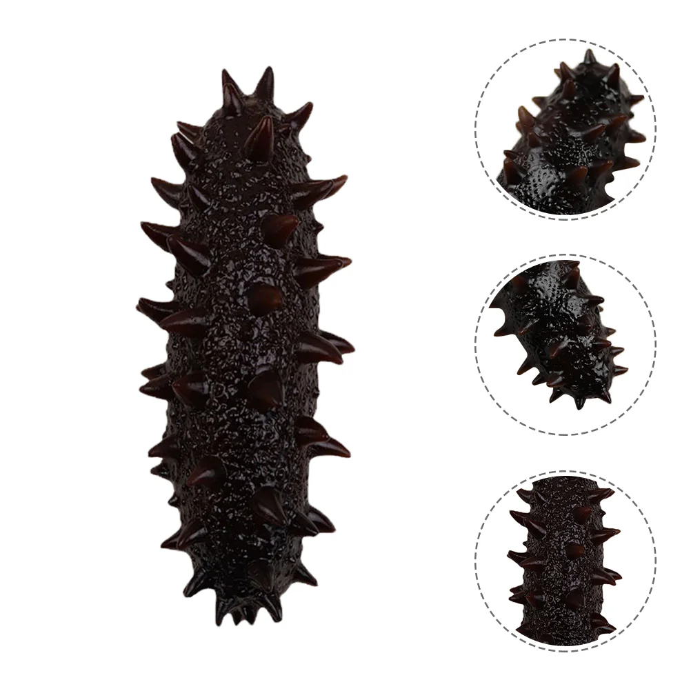 Simulation Sea Cucumber Model Animal Cognitive Kid Educational Slug Lifelike Food Decor Plastic Decorative Photo Prop Ocean