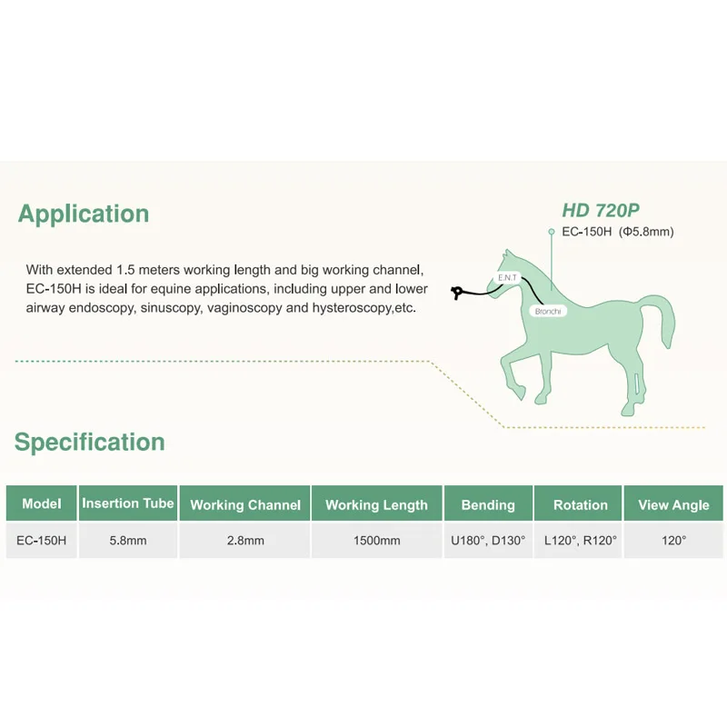 Рисунок 3 - Портативный ветеринарный эквин-бронхоскоп