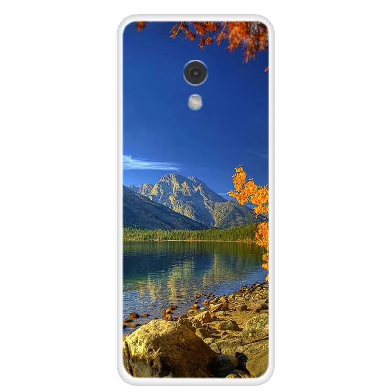 Clear Soft Silicone Floral Phone Case, Transparent Back Cover