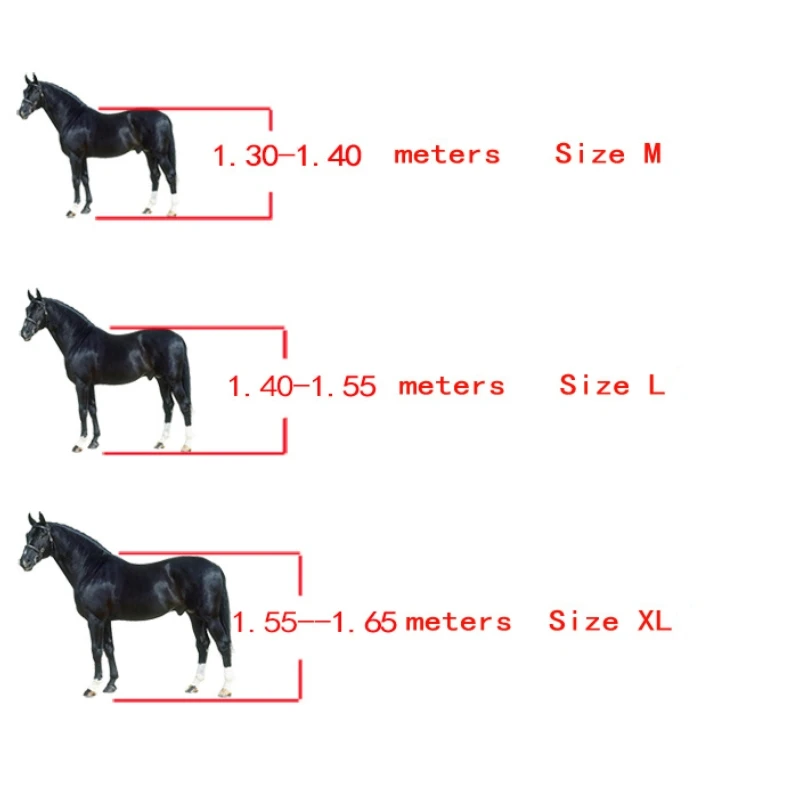 4 Pcs Horse Leg Boots Adjustable Front Hind Leg Tendon Protect Equestrian PU Shell and High-Quality Neoprene 6