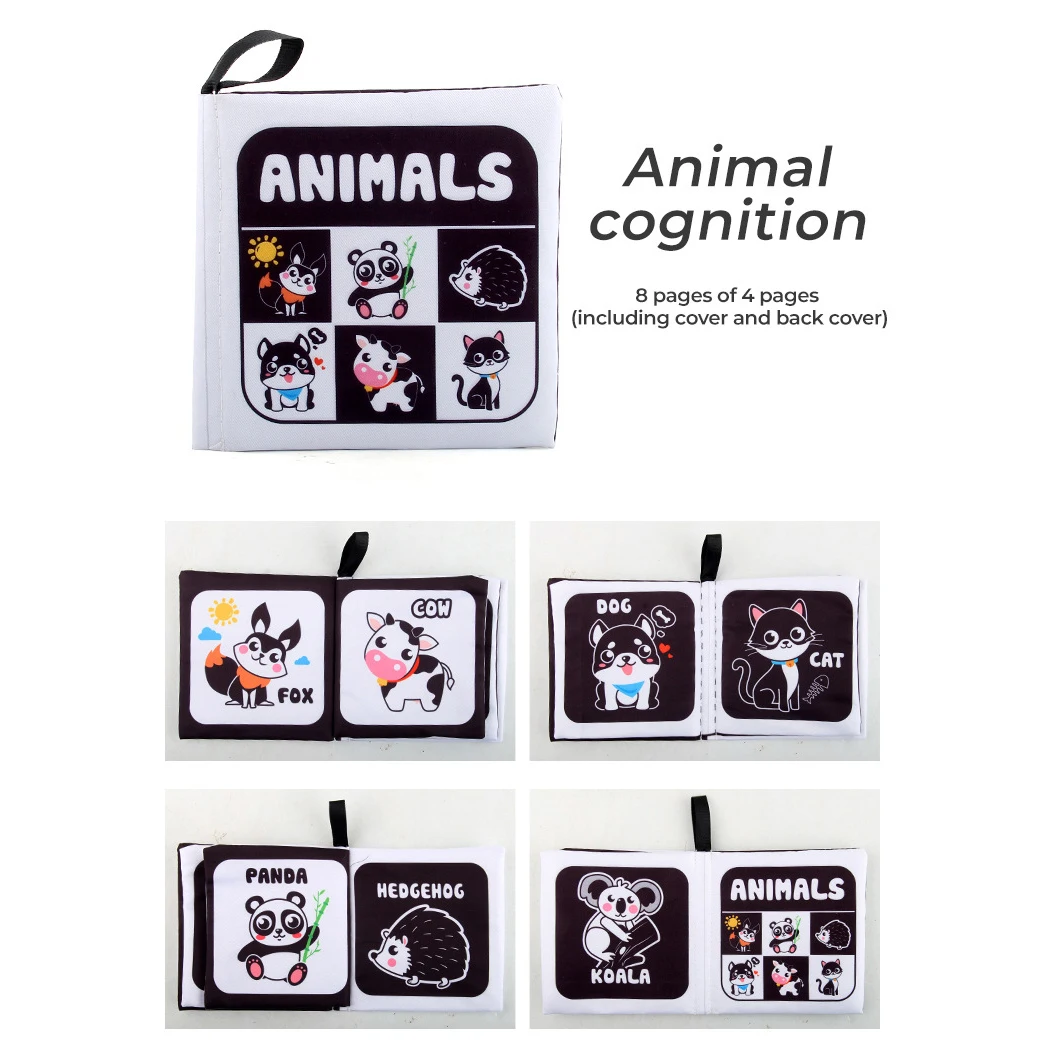 Animal Cognition