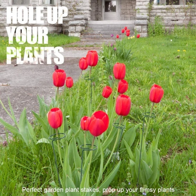 Növényi Tét Konzol Növények Rózsa Virágok Zöldségek Szőlőmászó Rúd Állvány Otthoni Kerti Mezőgazdasági Ültetés Felfelé Nőnek - Image 5