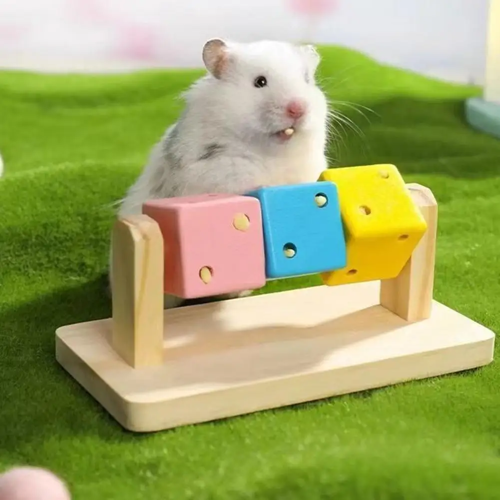 6X14CM 햄스터 씹기 장난감 나무 플랫폼 이빨 갈기 장난감 운동 지능 훈련 컬러풀한 나무 블록 쥐용
