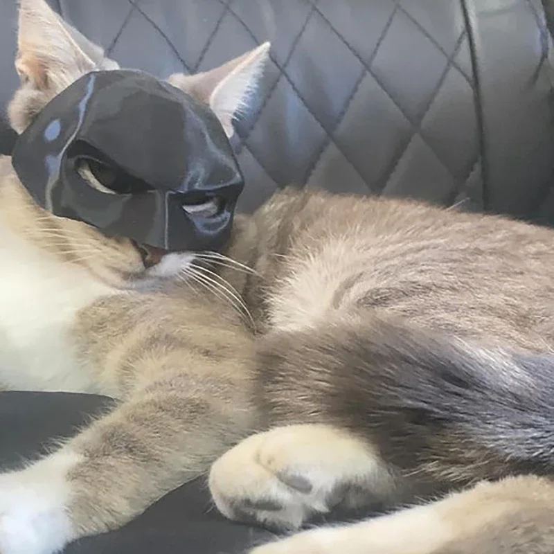 Bat Cat Mask Pet Toys Multiple Sizes Three Colors pet mask cat interactive toys cat bat mask