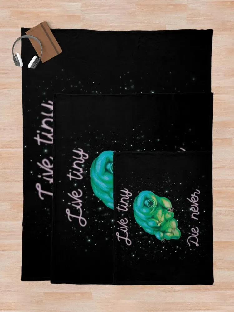 ���� Ÿ��׶�� ������ ���, ķ�� ��Ƽ�� �ڽ�����, �ִϸ��̼� ���