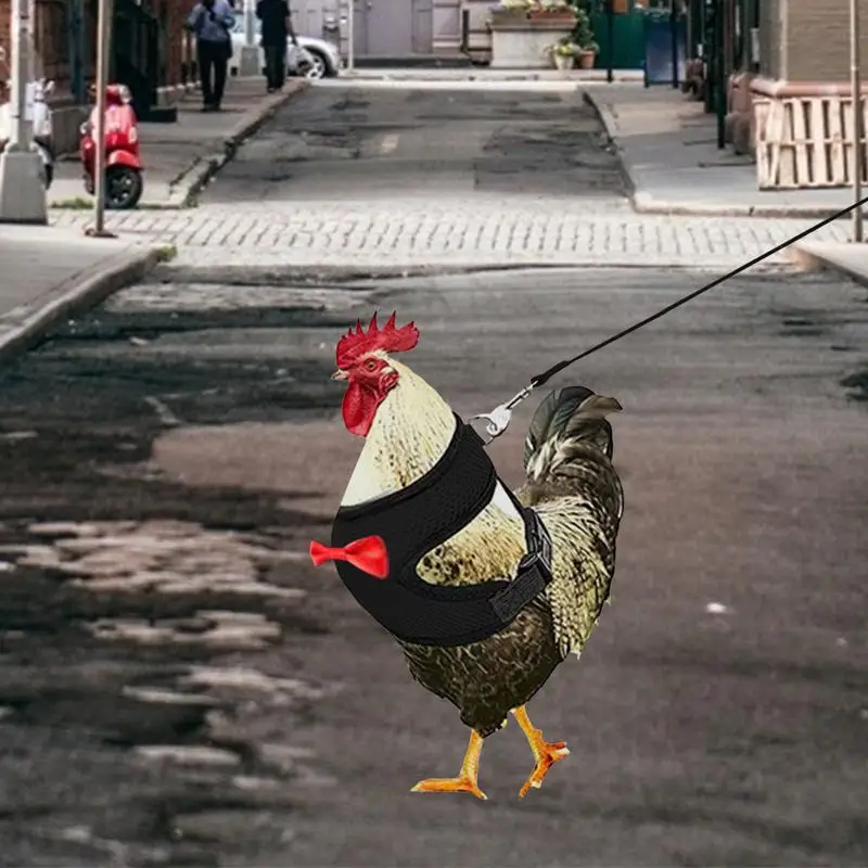 淮  ġŲ ϳ׽, ´  , ź̰  ⼺ ġŲ    