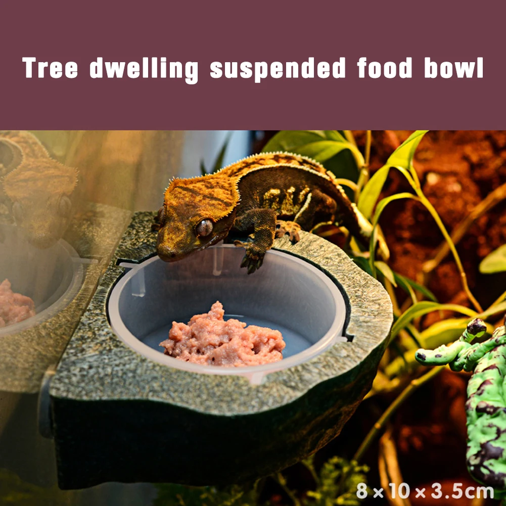 Reptile Gecko Food Water Bowl Magnetic Adsorption Feeding Dish With Separate Food Basin Bearded Dragon Terrarium Decor