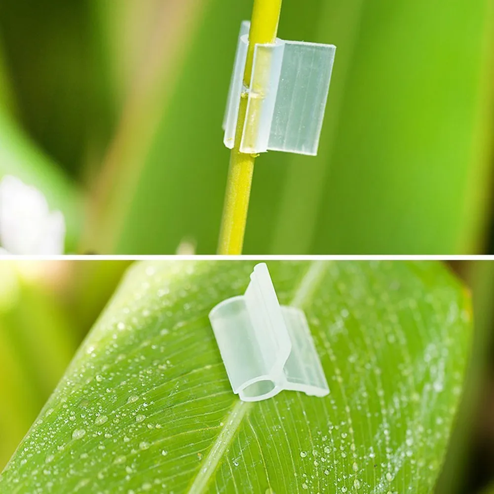 Slide image 0bd9374ca9bf459cba035bc4a9508379