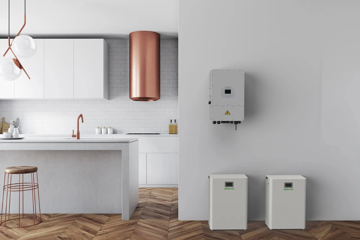 Рисунок 6 - Система хранения энергии в жилых