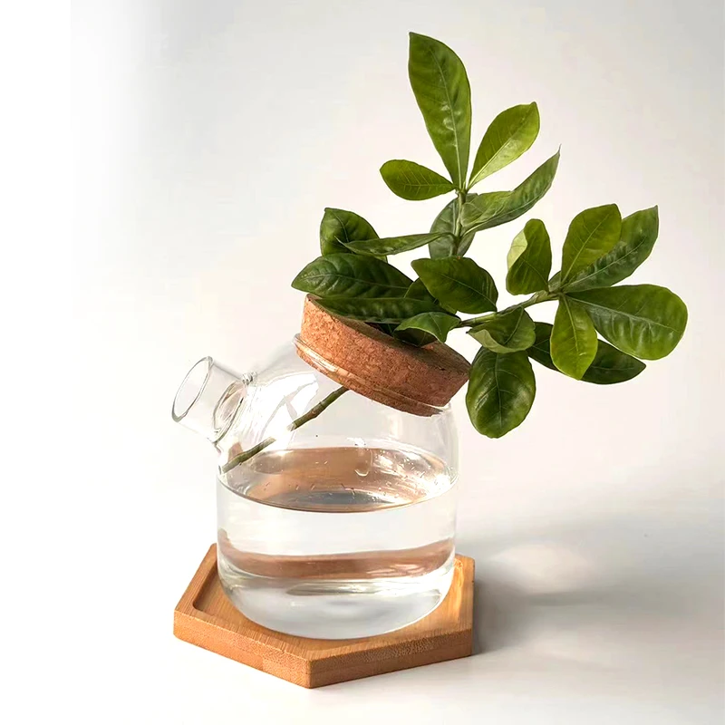 New Small Vase Transparent Glass Flower and Green Plants Cultivation Small Bottle Home Living Room Garden Decoration Small Vase 6