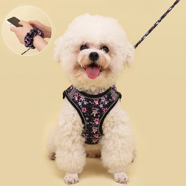 Dogs Adjustable Harness Leash Set for Small Dogs Harness Vest Reflective Puppy Chest Strap Pet Walking Outdoor Puppy Leash