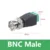 BNC Male