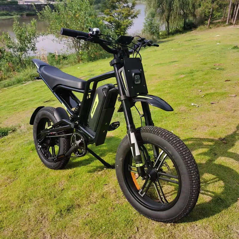 20'' Fat Tire Ebike 1000W 60V 30Ah Dual Suspension Fork Snow Beach Mountain EBike