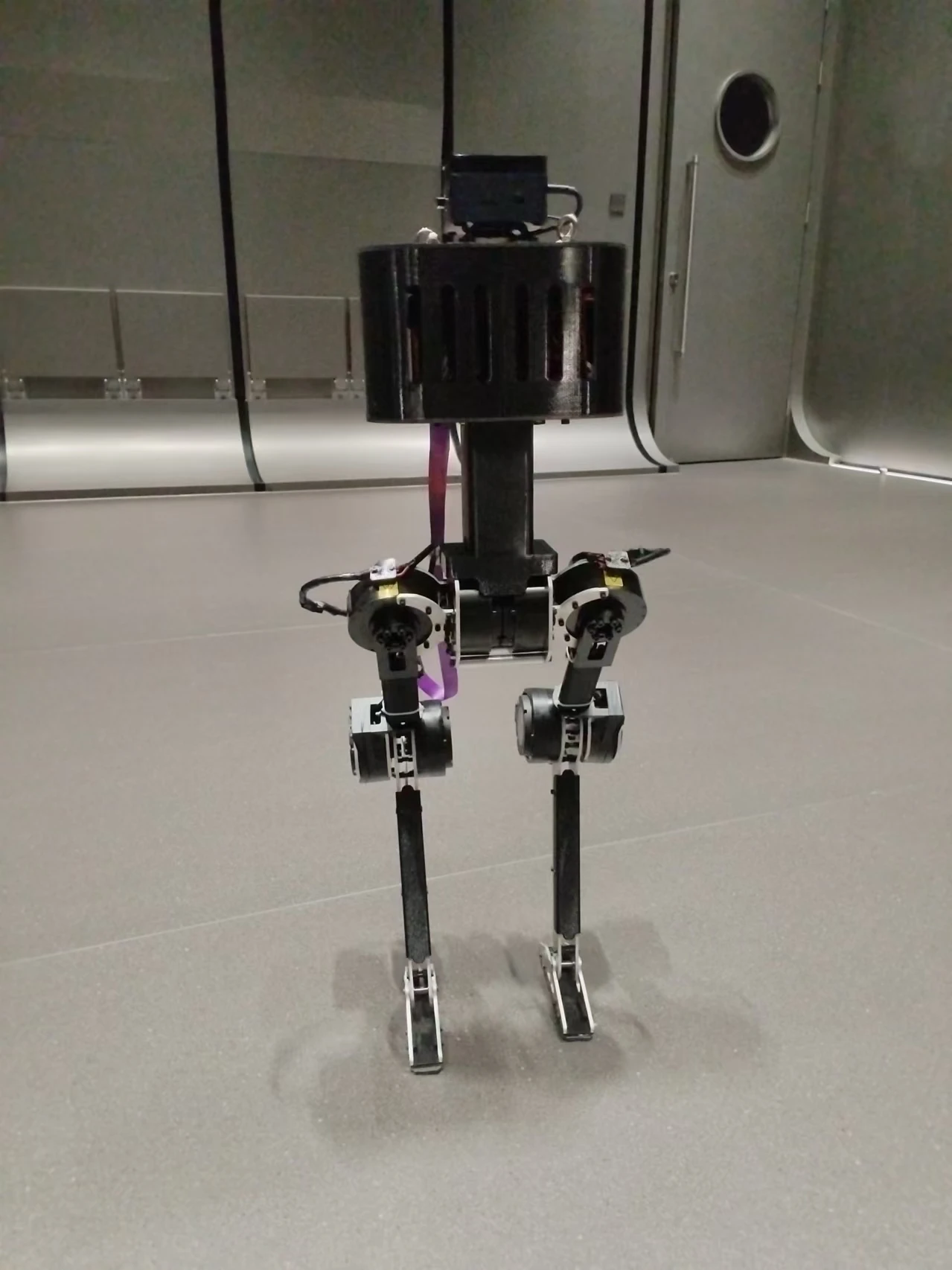 upgraded foot