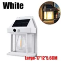 Large-White