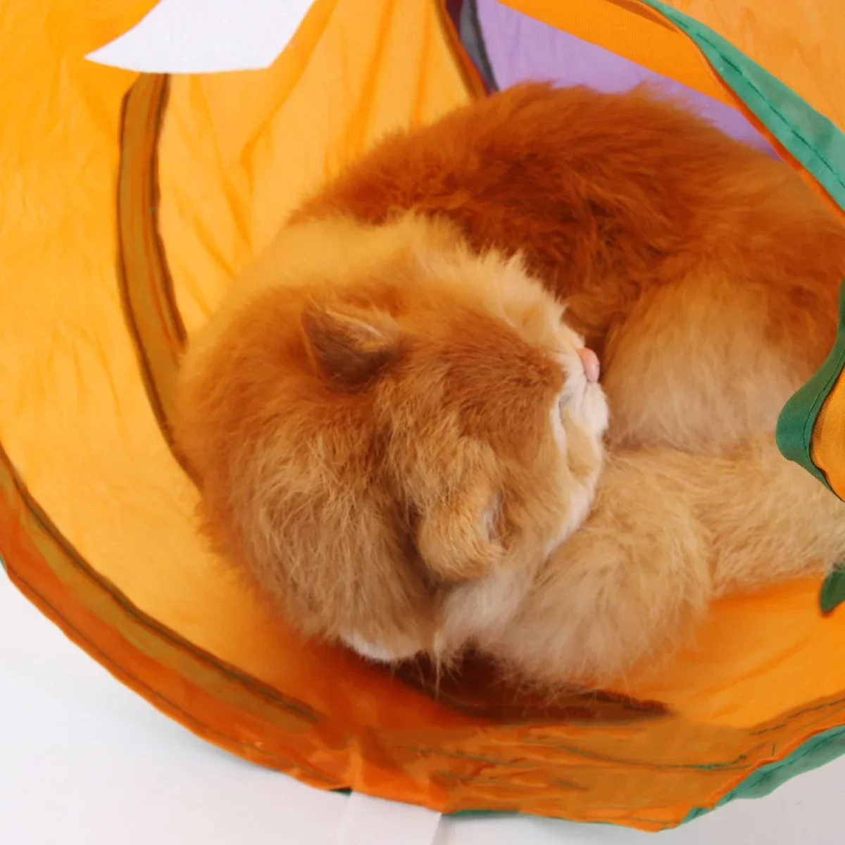 Cat Tunnel Tube Foldable Cat Toys