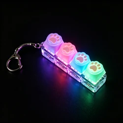 Illuminated Fidget Keychain: Stress Relief & Office Decor Gift (Cat Colorful - 1PC)