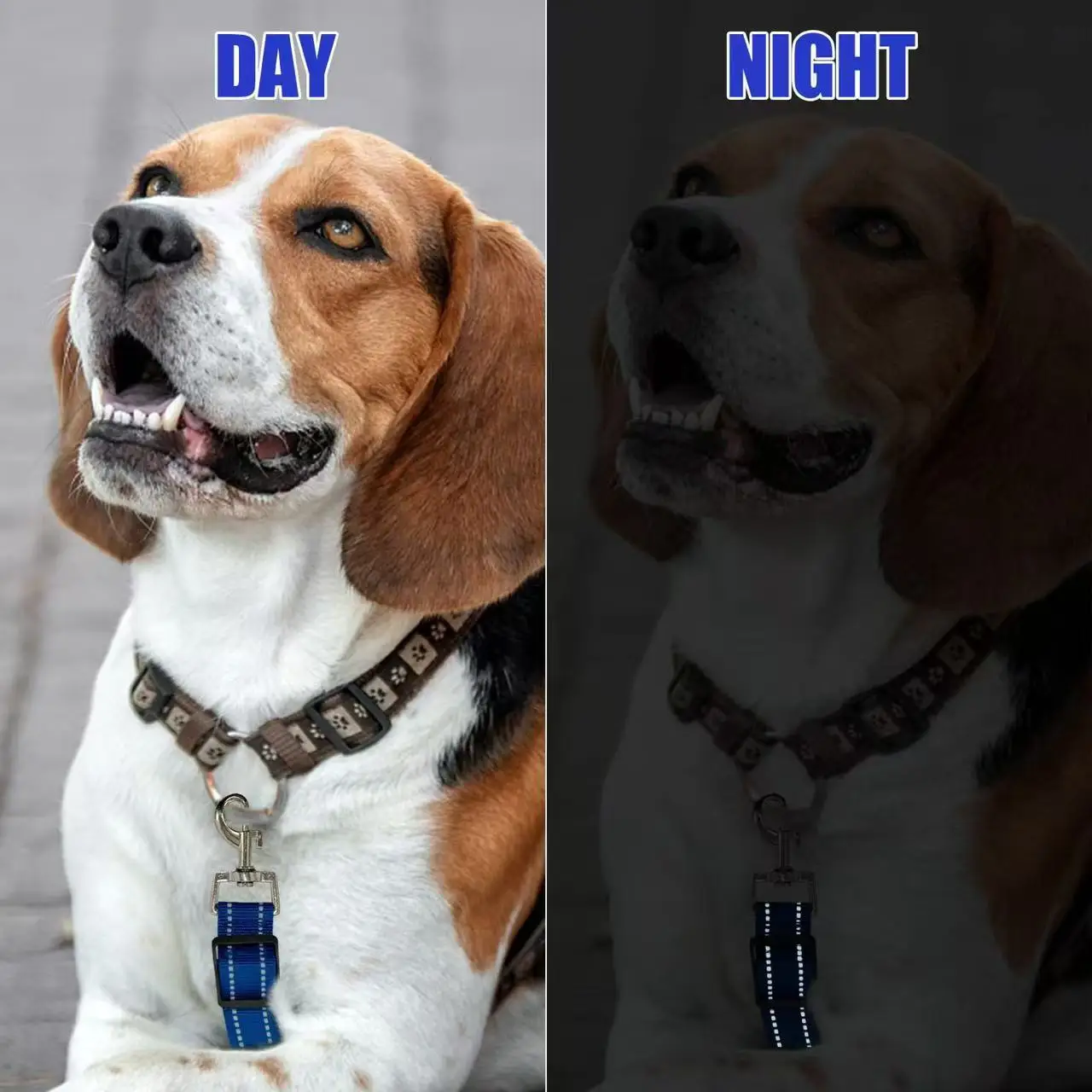 Reflective Dog Safety Collar Clip-Heavy Duty Polyamide Leash Attachment with 360&deg; Swivel Adjustable Length Vertical Pressure pet harness collar