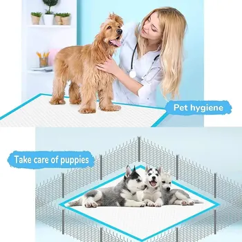 Super Absorbent Pet Diaper Dog Thick Pee Pads Quickdry Disposable Urine Nappy Mat For Cats Dog Diapers Deodorant Pet Supplies 5