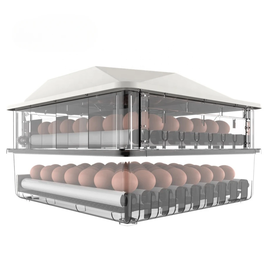 

2024 new type Hatch eggs small scale automatic egg incubator 36 for sale