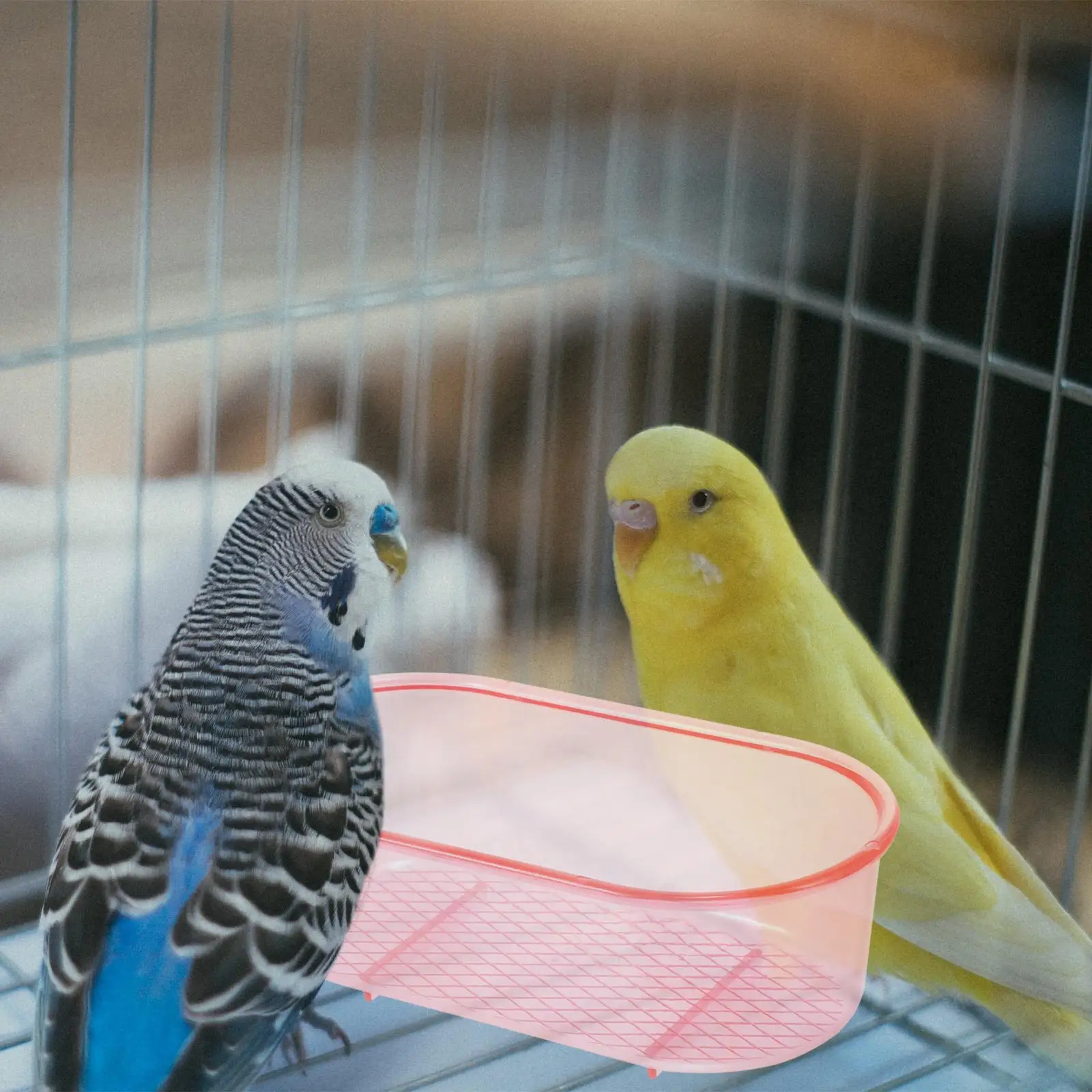 1 Bird Bath Box Plastic Compact Bathtub for Cage Parakeet Bathing Cube Basin Reusable Safe Smooth Edges Multi