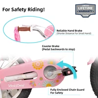 JOYSTAR Little Daisy Vélo pour enfants pour filles de 2 à 7 ans, vélos avec siège de vélo de poupée et banderoles, vélos avec drapeau et plaque d'immatriculation 6