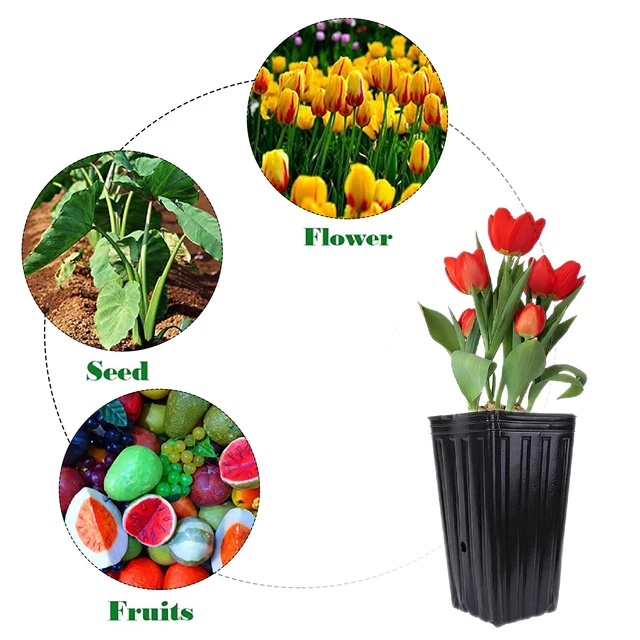 20-40Db Magas Fa Edények, Műanyag Mély Óvodai Treepótok, Palánta Virágnövény Tartály Edények Beltéri Kültéri Kerti Növényekhez - Image 4