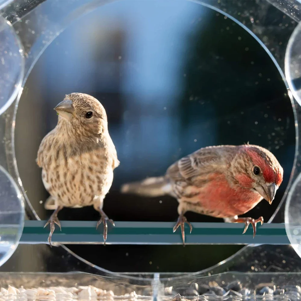Bird Feeder Bird Supplies Acrylic Clear Glass Window Birds Hanging Feeder Birdhouse Food Feeding House Table Seed Cup Transparent Windowsill Birdfeeders