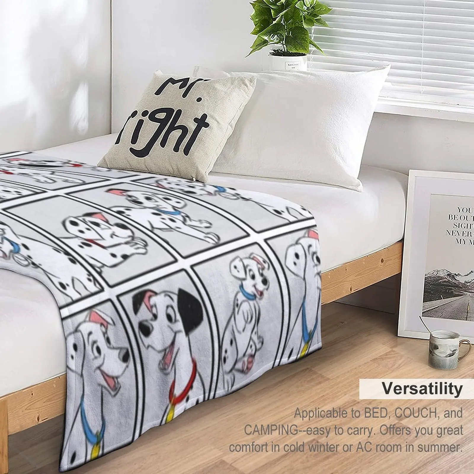 �޸��þ� �� ��� ������ ���, ǫ���� ���� ���