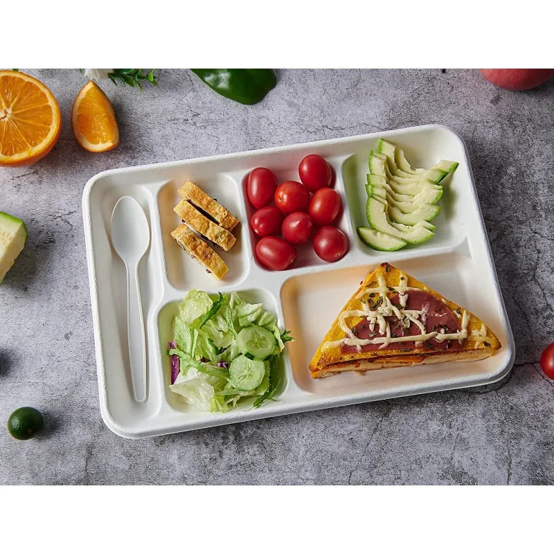 Compostable 6 Compartment Plates, 90 Pack Compartment Paper Plate, 12.5x8.6 inch Disposable School Lunch