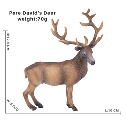 Wild Zoo Animal Action Figures Set - Includes Antelope, Giraffe, Panda, Pig, Elephant, and Tiger Figurines (Pere David Deer)